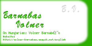 barnabas volner business card